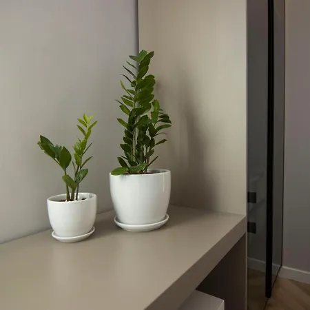 Mina Luxury Apartamento Tirana